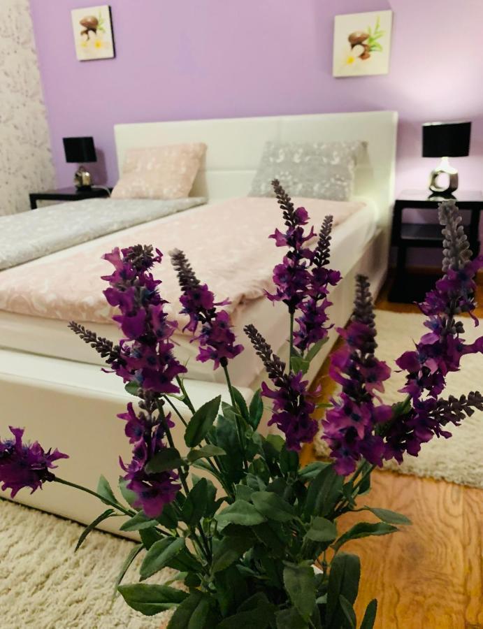 Casa Central Luxury Oradea Dış mekan fotoğraf